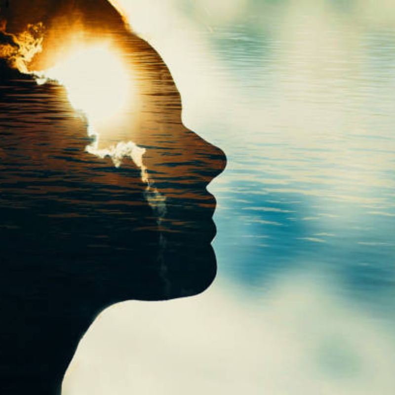 Metoda Silvy obrazek